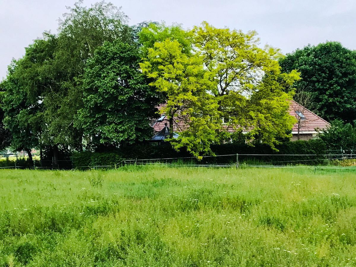 Rossum Boerderij Zonneveldヴィラ エクステリア 写真